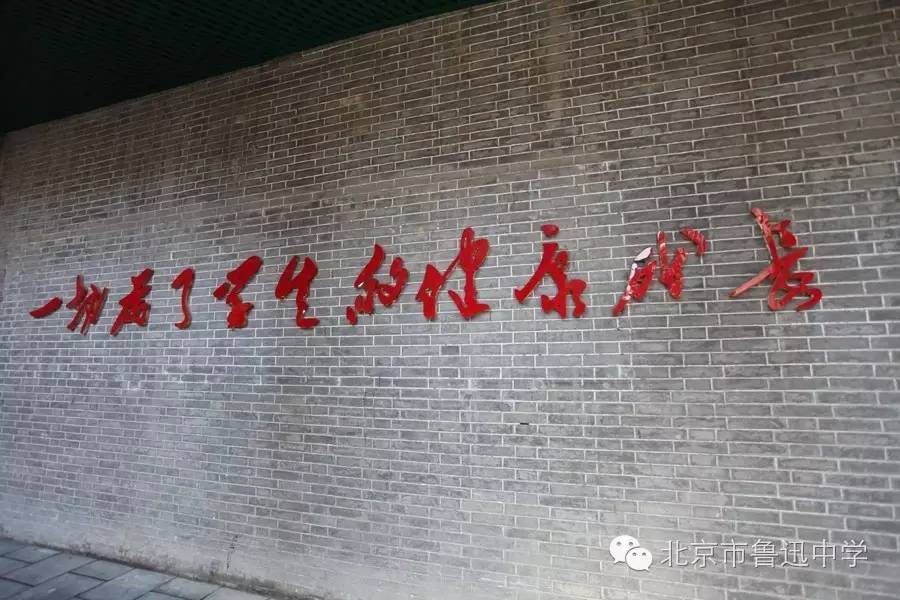 1498724967149097784.jpg