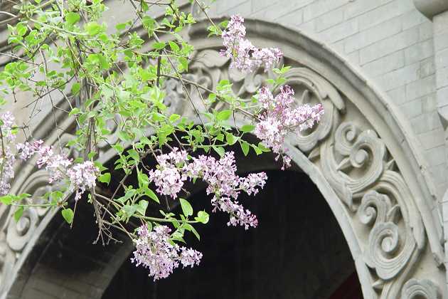 20120921095746149西式风格2.jpg