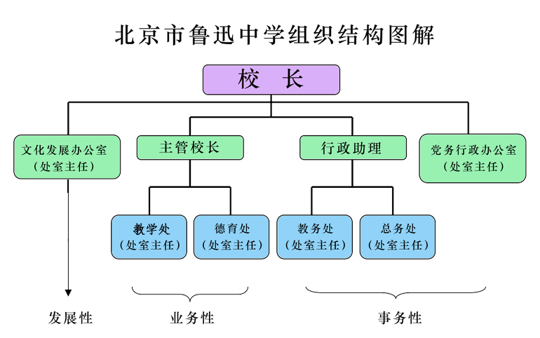 组织结构图解副本.png