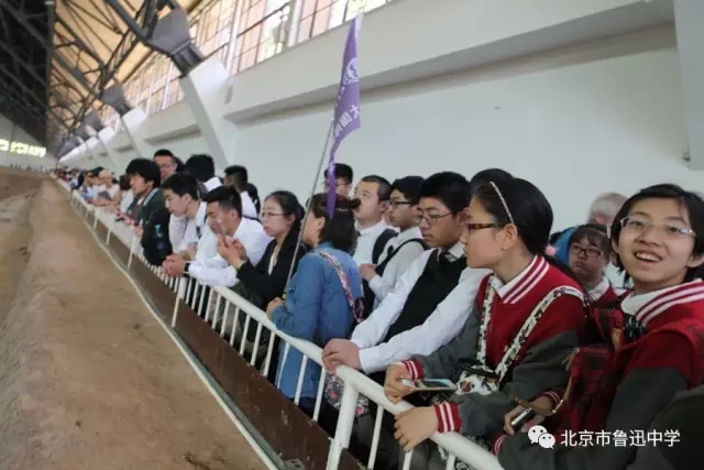 09同学们在一号坑进行参观.webp.jpg