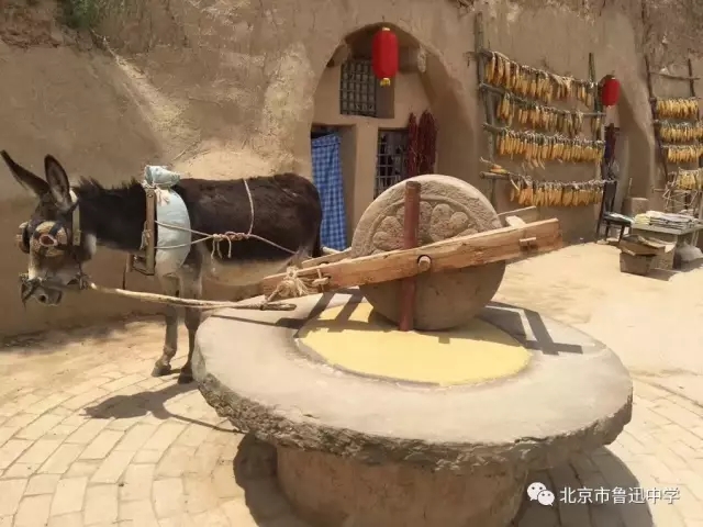 16很多同学第一次看到小驴拉磨.webp.jpg