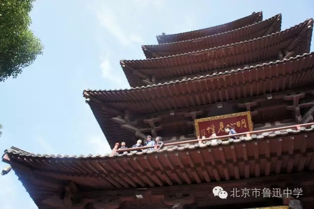02同学们登塔眺望苏州城.webp.jpg