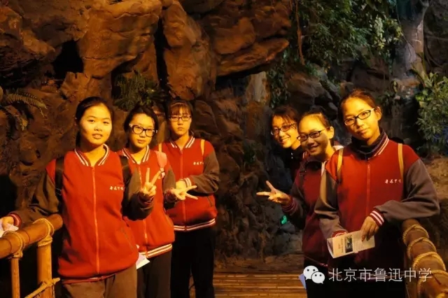 03同学们行走在模拟的热带雨林.webp.jpg