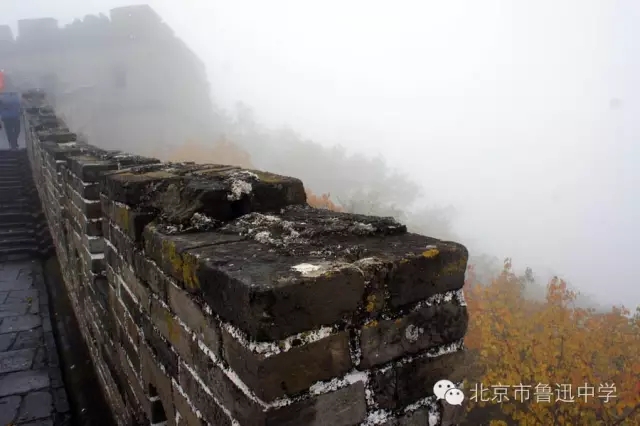 24虽然是大雾的天气.webp.jpg