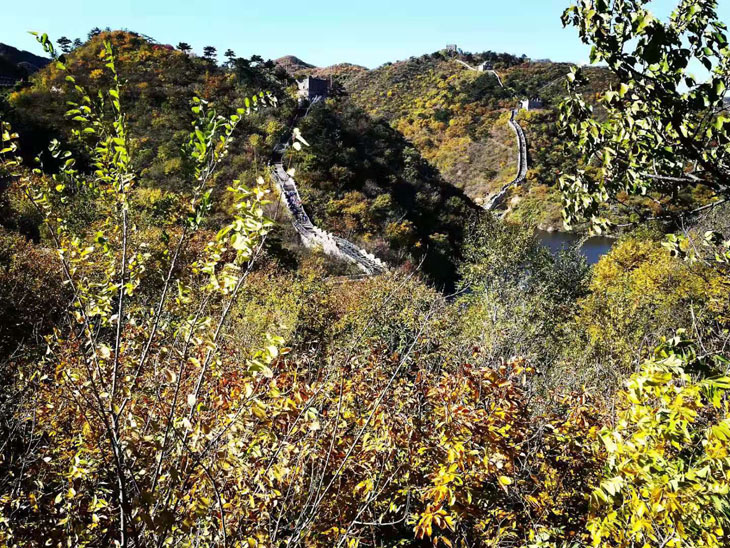 03 微信图片_20191027223112.jpg