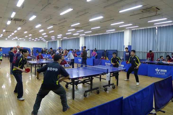 P1070499.jpg