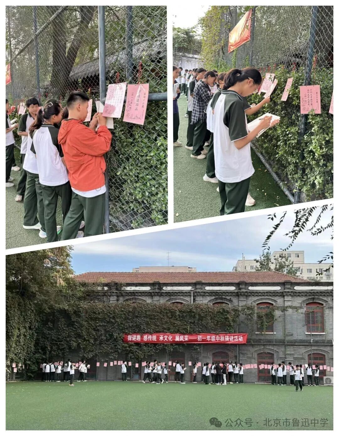 1763033728998033778.jpg 1763033728998033778.jpg