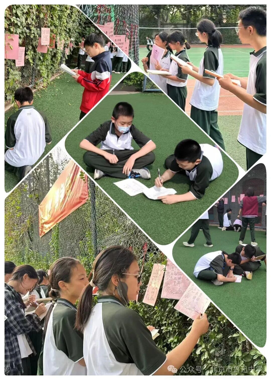 1763033762991061360.jpg 1763033762991061360.jpg