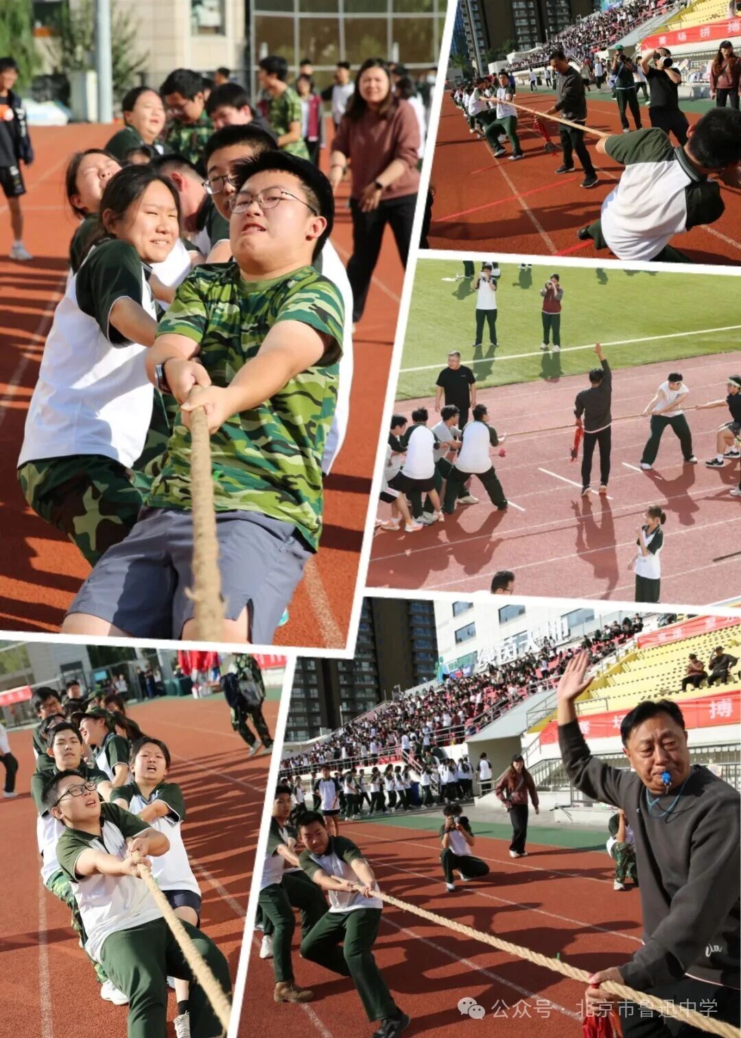 1763034109916064441.jpg 1763034109916064441.jpg