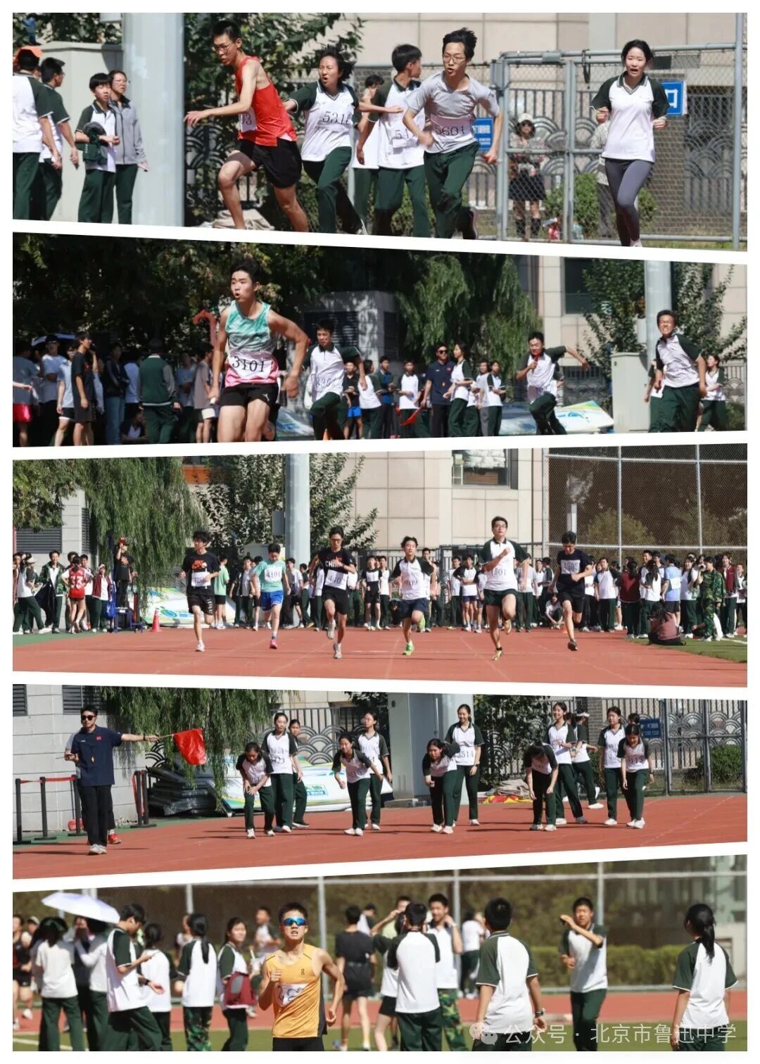 1763034176859050060.jpg 1763034176859050060.jpg