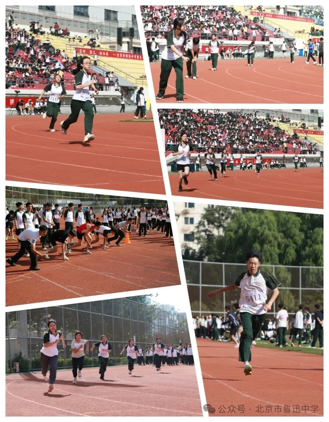 1763034176893096280.jpg 1763034176893096280.jpg