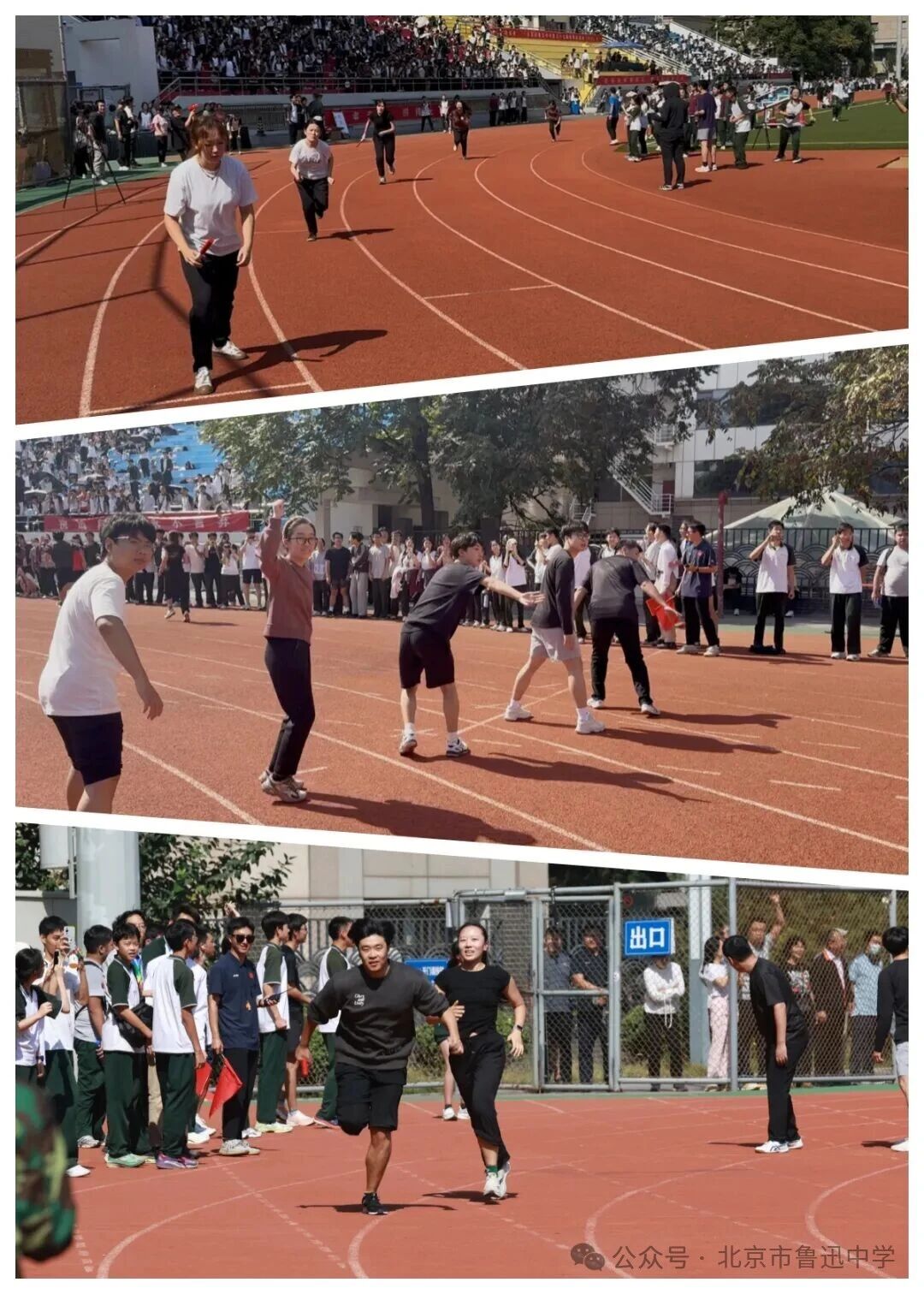 1763034216500073566.jpg 1763034216500073566.jpg