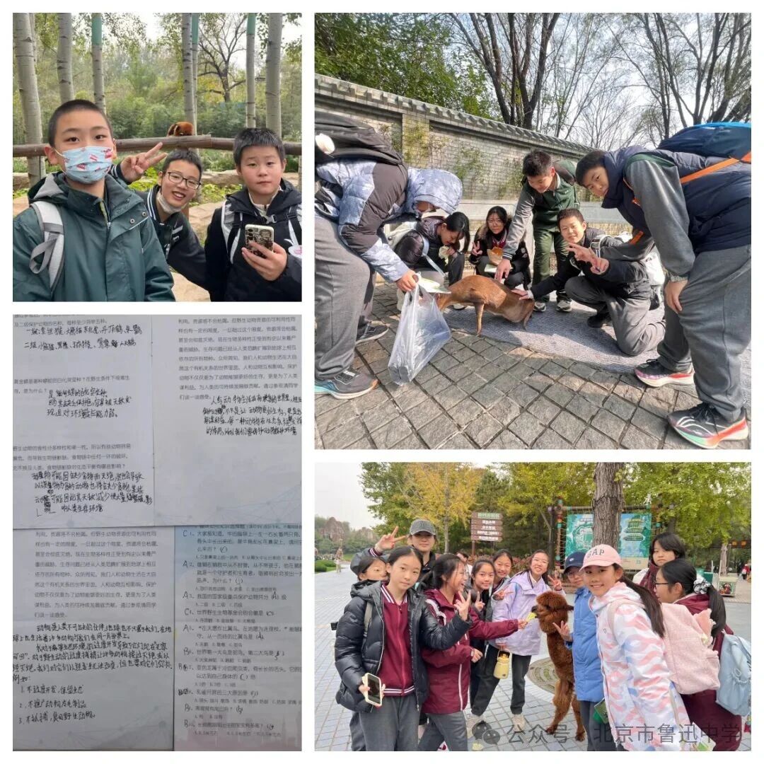 1764635129605092460.jpg 1764635129605092460.jpg