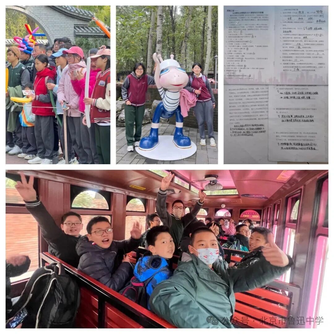 1764635164411041533.jpg 1764635164411041533.jpg