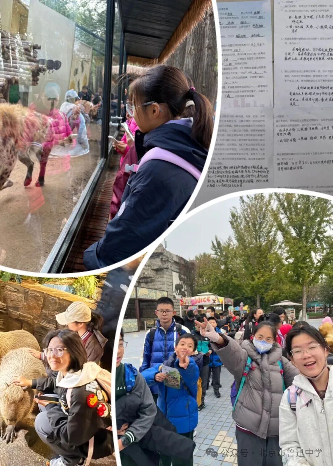 1764635186673025241.jpg 1764635186673025241.jpg