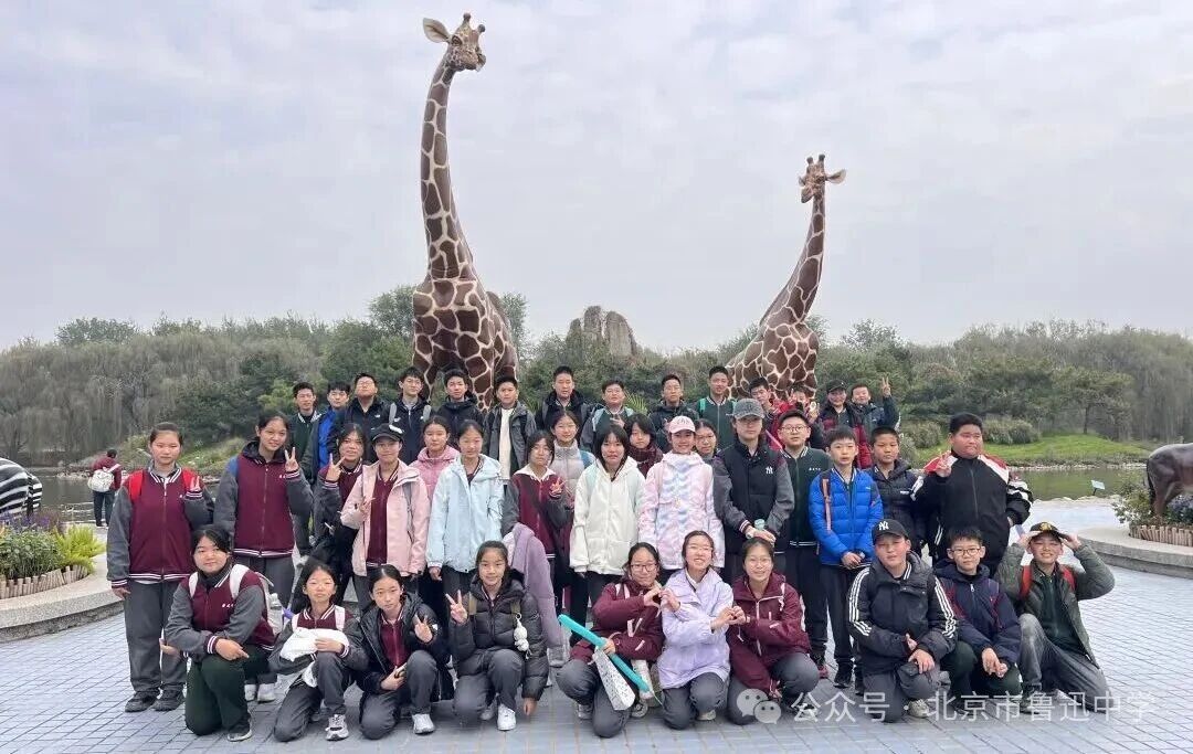 1764635216324084552.jpg 1764635216324084552.jpg