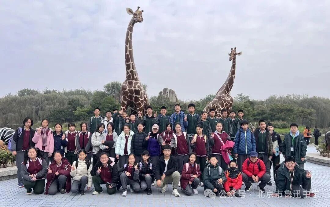 1764635237585085376.jpg 1764635237585085376.jpg