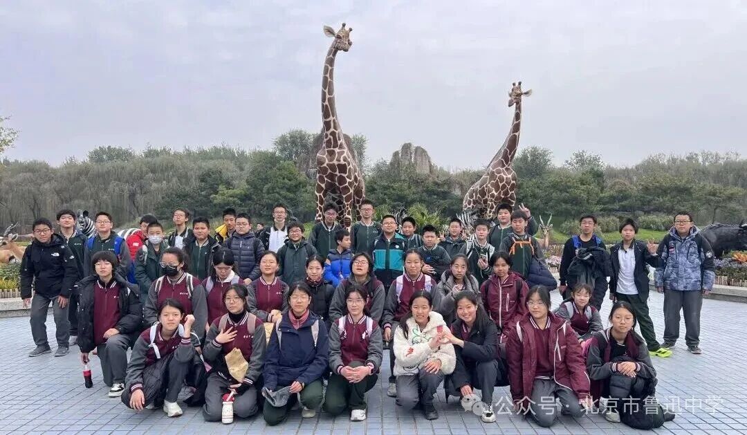 1764635267527072773.jpg 1764635267527072773.jpg