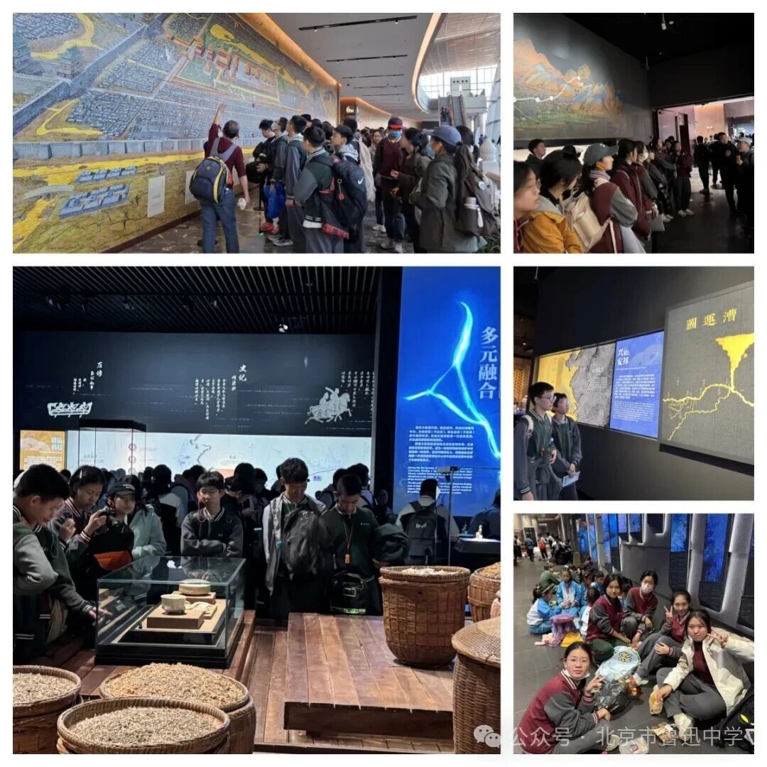 1764636291333028570.jpg 1764636291333028570.jpg