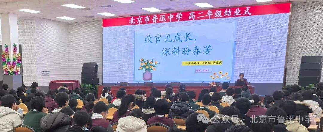 1773652686636088203.jpg 1773652686636088203.jpg